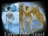 fallen angel OMG.jpg (564349 bytes)
